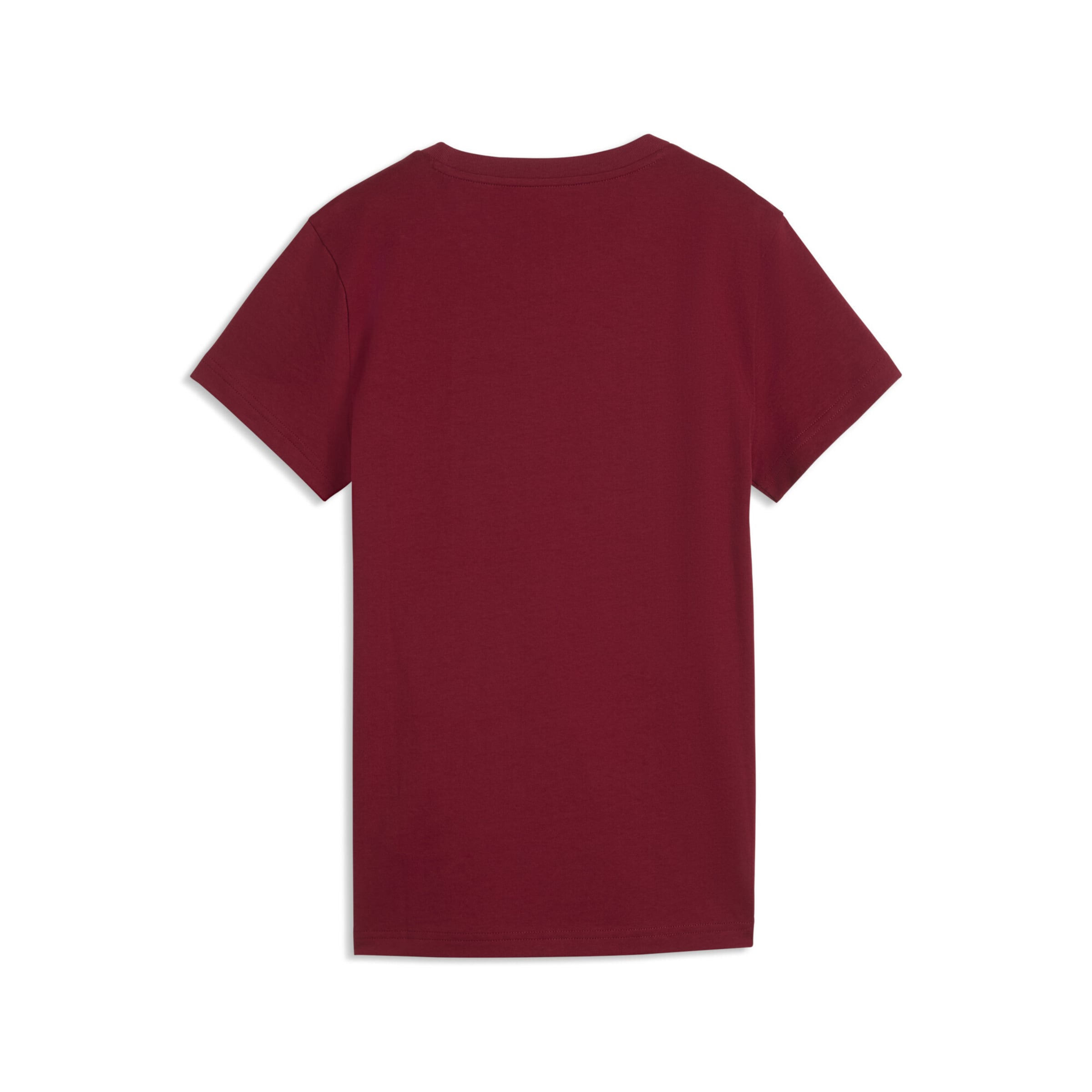 PUMA Performance Shirt 'Ess No. 1' in Red