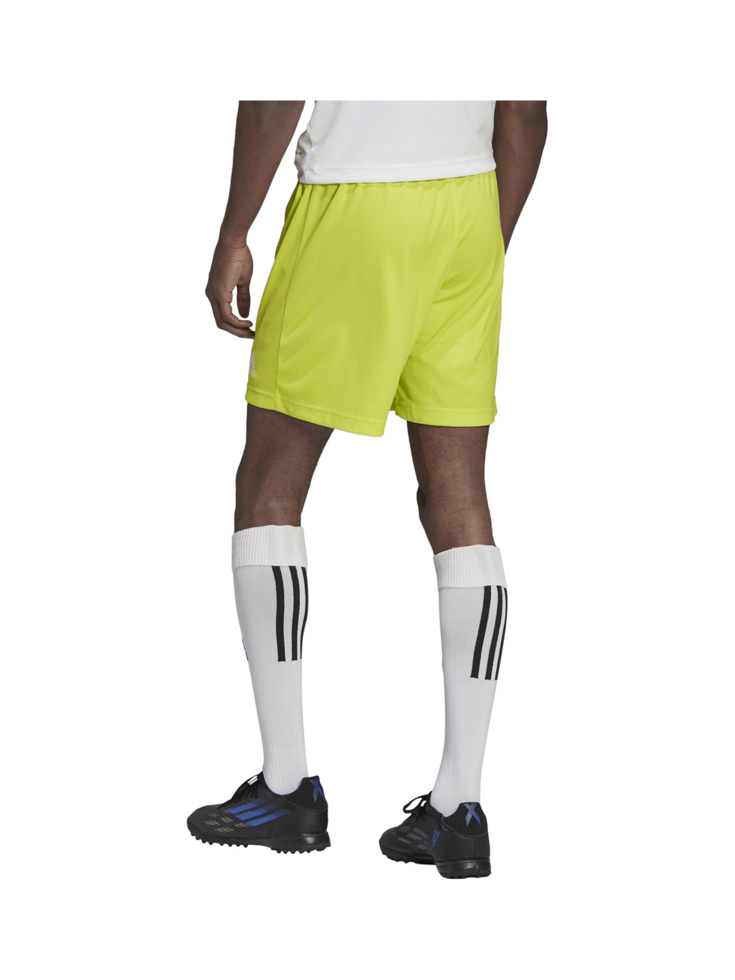 ADIDAS PERFORMANCE Regular Workout Pants 'Entrada 22' in Green