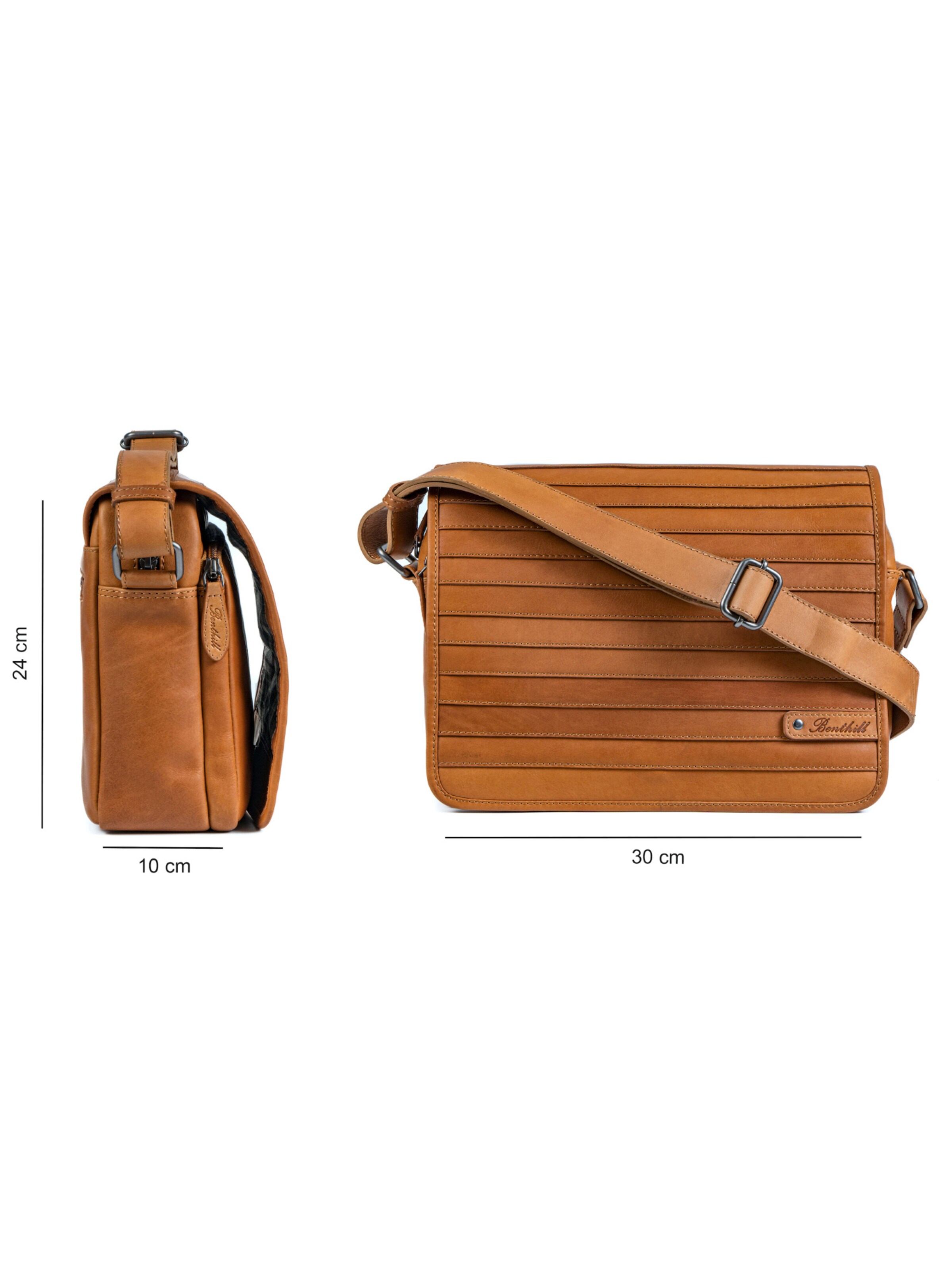 Benthill Messenger 'Messenger' in Brown