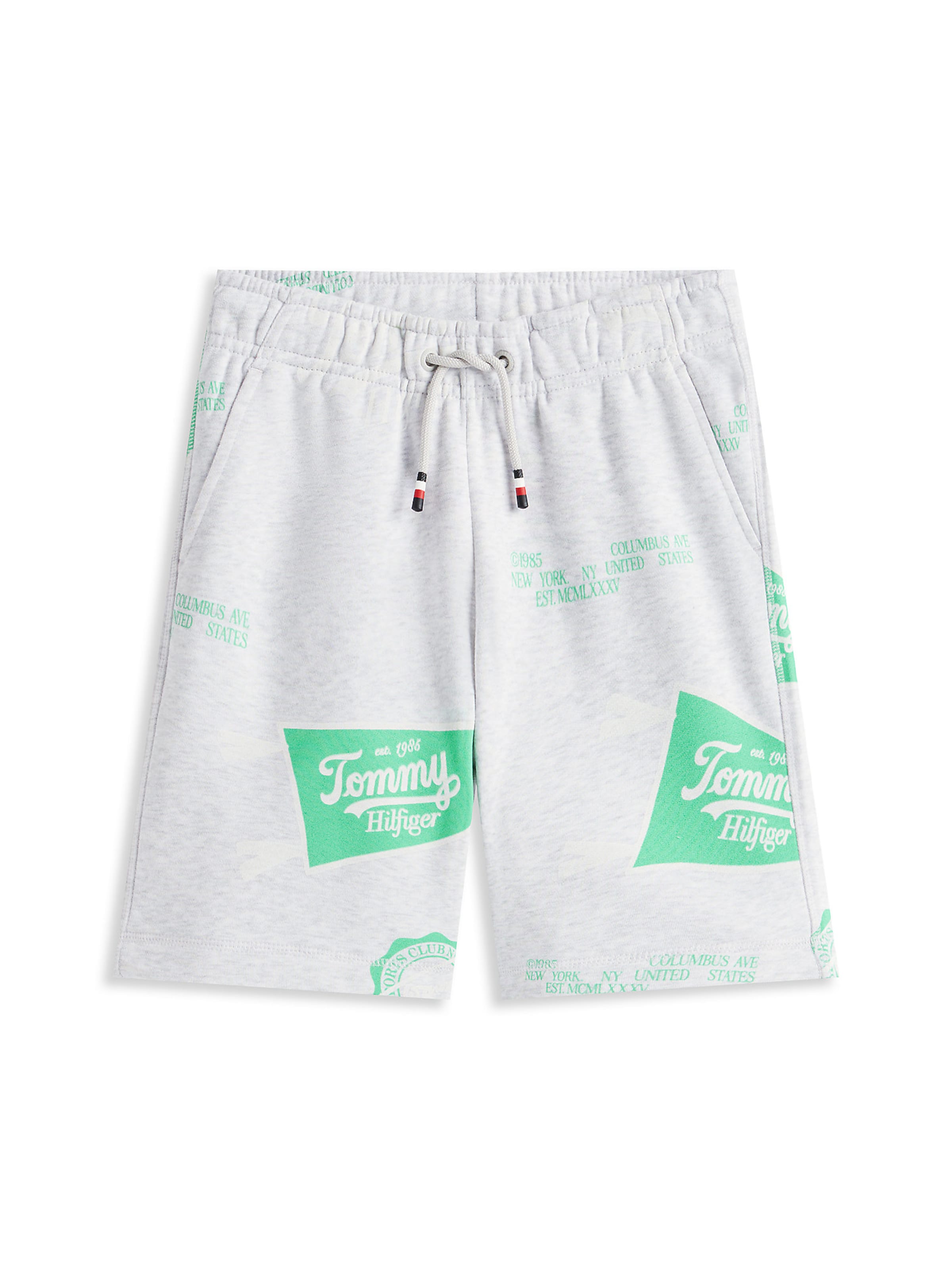 TOMMY HILFIGER Regular Trousers in Grey: front