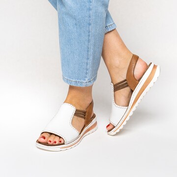 ARA Sandals in Brown