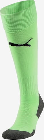 PUMA Soccer Socks 'Team Liga' in Green: front
