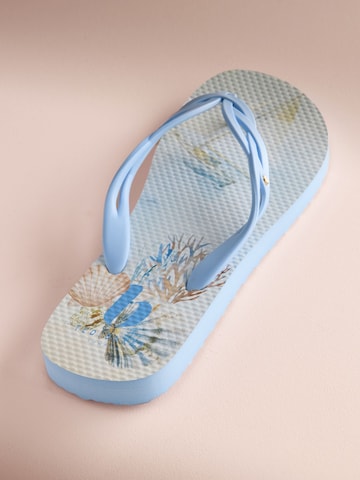 B by Ted Baker Teenslipper in Blauw