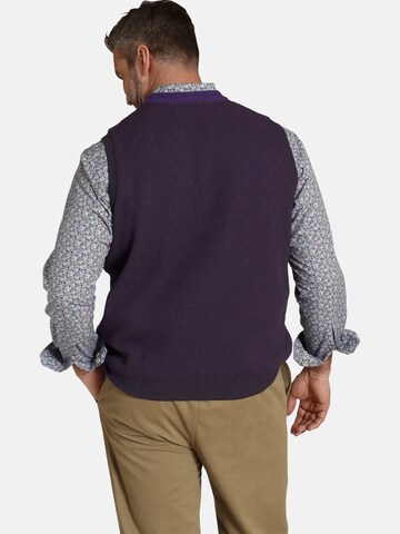 Charles Colby Sweater Vest 'Earl Macsen' in Purple