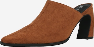 Raid Muiltjes 'HANIA' in Bruin: voorkant