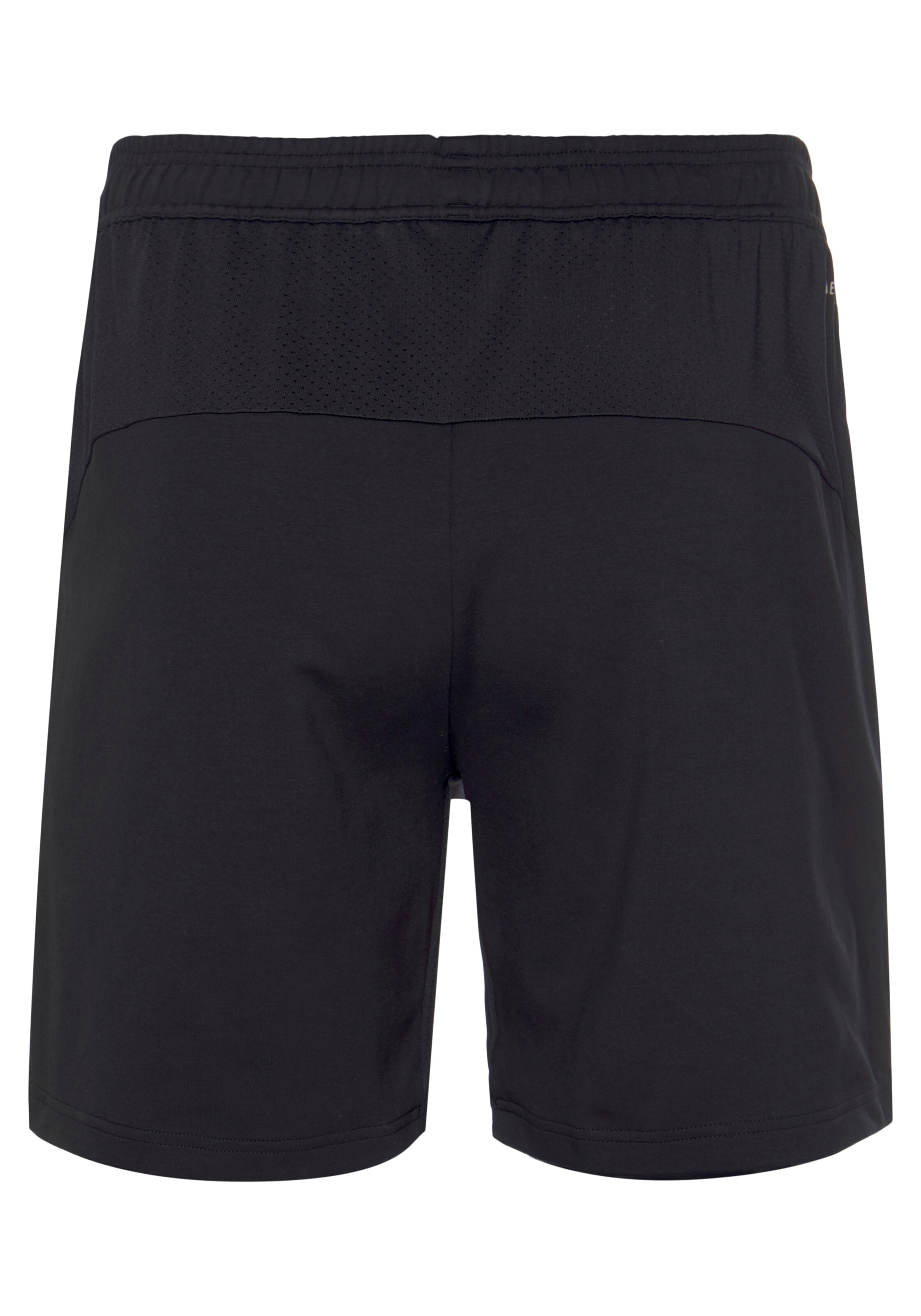 ADIDAS SPORTSWEAR Regular Sportbroek in Zwart