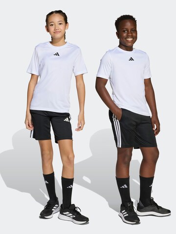 ADIDAS SPORTSWEAR - Fato de treino 'Train Essentials' em branco: frente