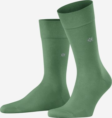 BURLINGTON Socks 'DUBLIN' in Green: front