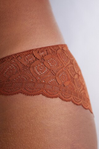 INTIMISSIMI Panty in Brown