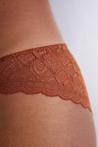 INTIMISSIMI Slip in Braun