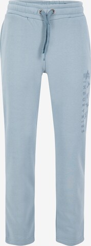 Regular Pantalon ALPHA INDUSTRIES en bleu : devant