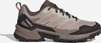 ADIDAS TERREX Halbschuh 'EASTRAIL 3' in 36 in braun / brokat / schwarz, Produktansicht
