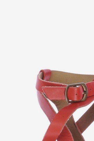 Warehouse Sandals & High-Heeled Sandals in 41 in Red