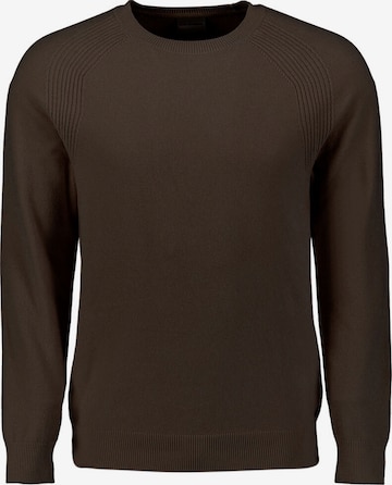 No Excess Sweater in Brown: front