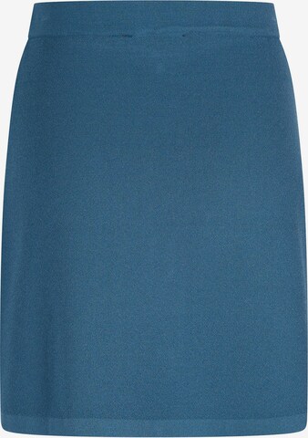 4funkyflavours Skirt 'Room For Us All' in Blue