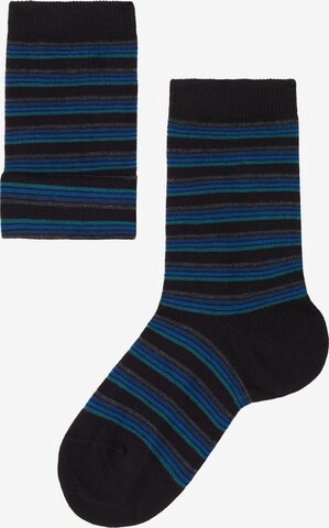 CALZEDONIA Socks in Black: front