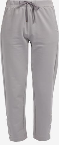 HELMIDGE Pants in Grey: front