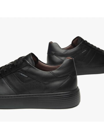 Baskets basses Nero Giardini en noir