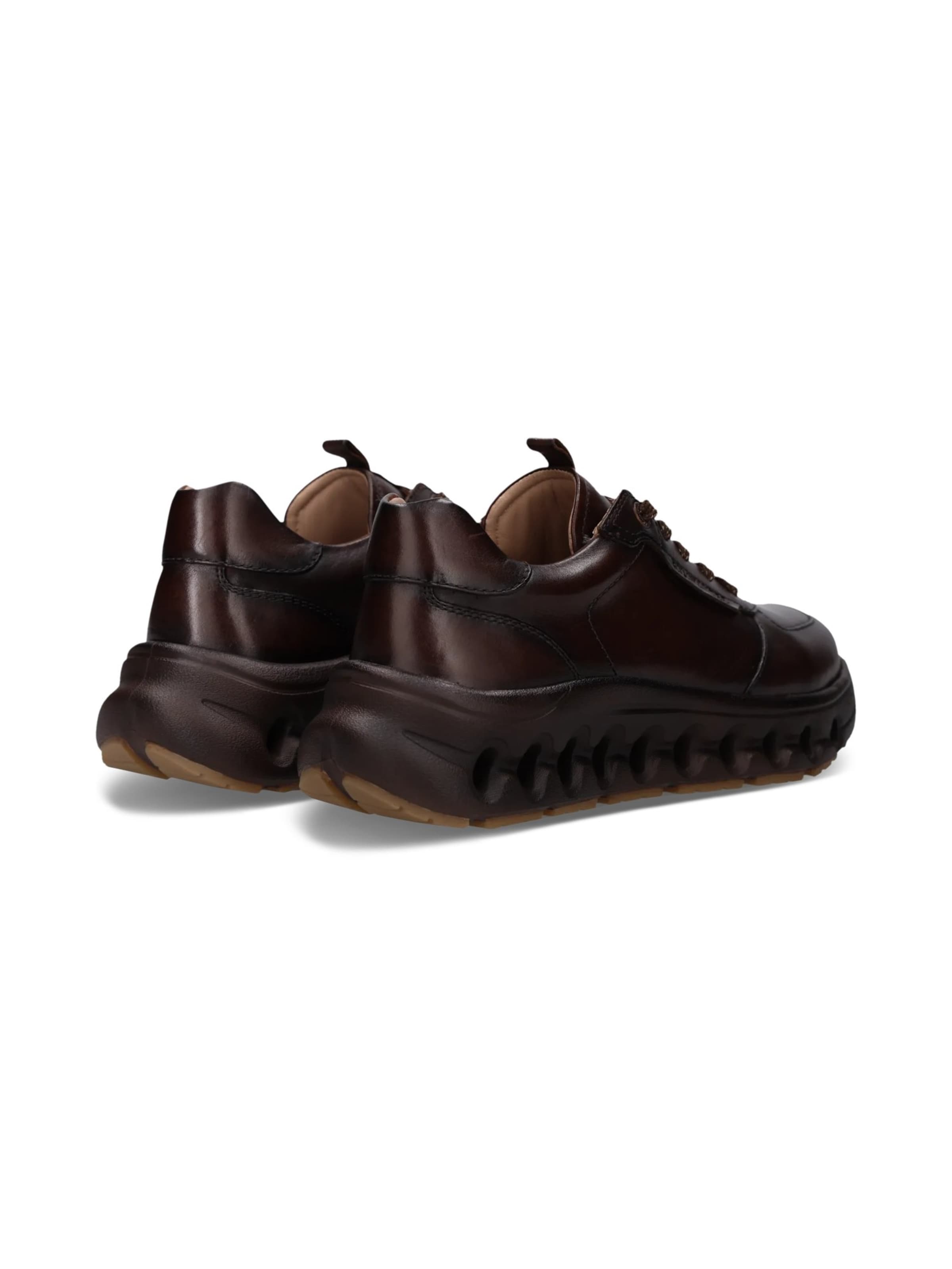 Baskets basses SALAMANDER en marron
