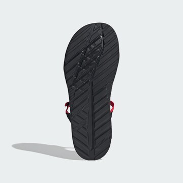 ADIDAS TERREX Sandal 'Hydroterra' in Orange
