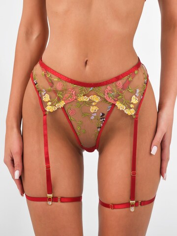 Orchibelle Bralette Underwear Sets in Red