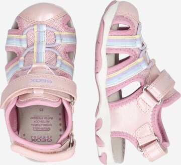 GEOX Sandale in Pink