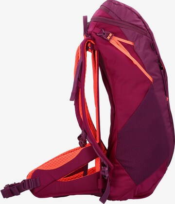 SALEWA Sports Backpack 'Alp Trainer' in Purple