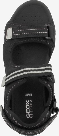 GEOX Hiking Sandals 'D Abyes C' in Black