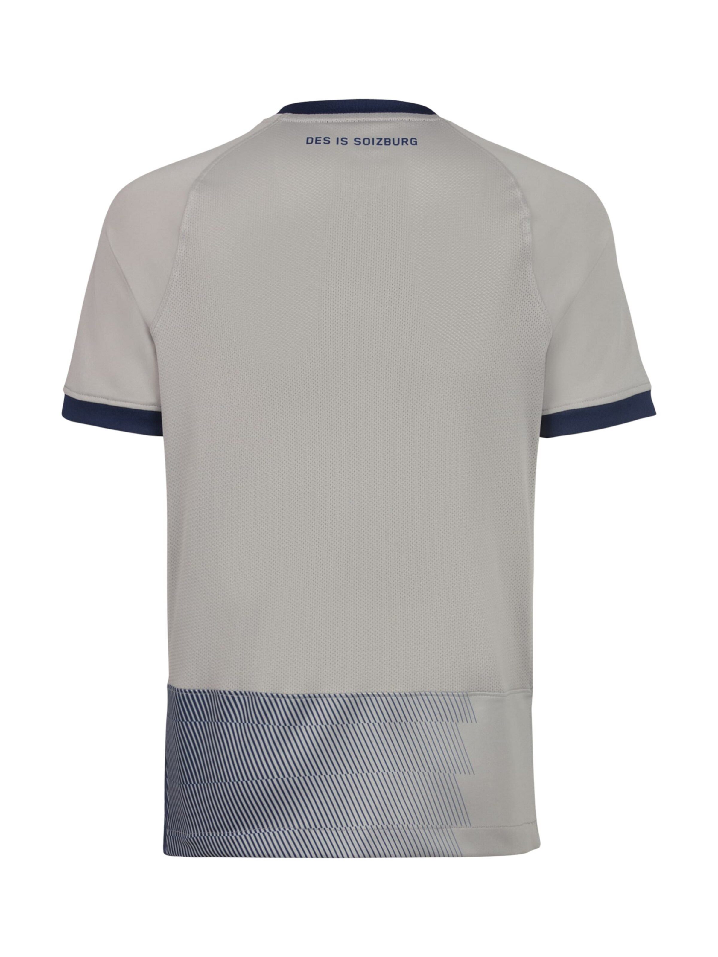 NIKE Trikot 'Red Bull Salzburg' in Grau