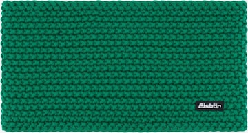 Eisbär Athletic Headband in Green: front