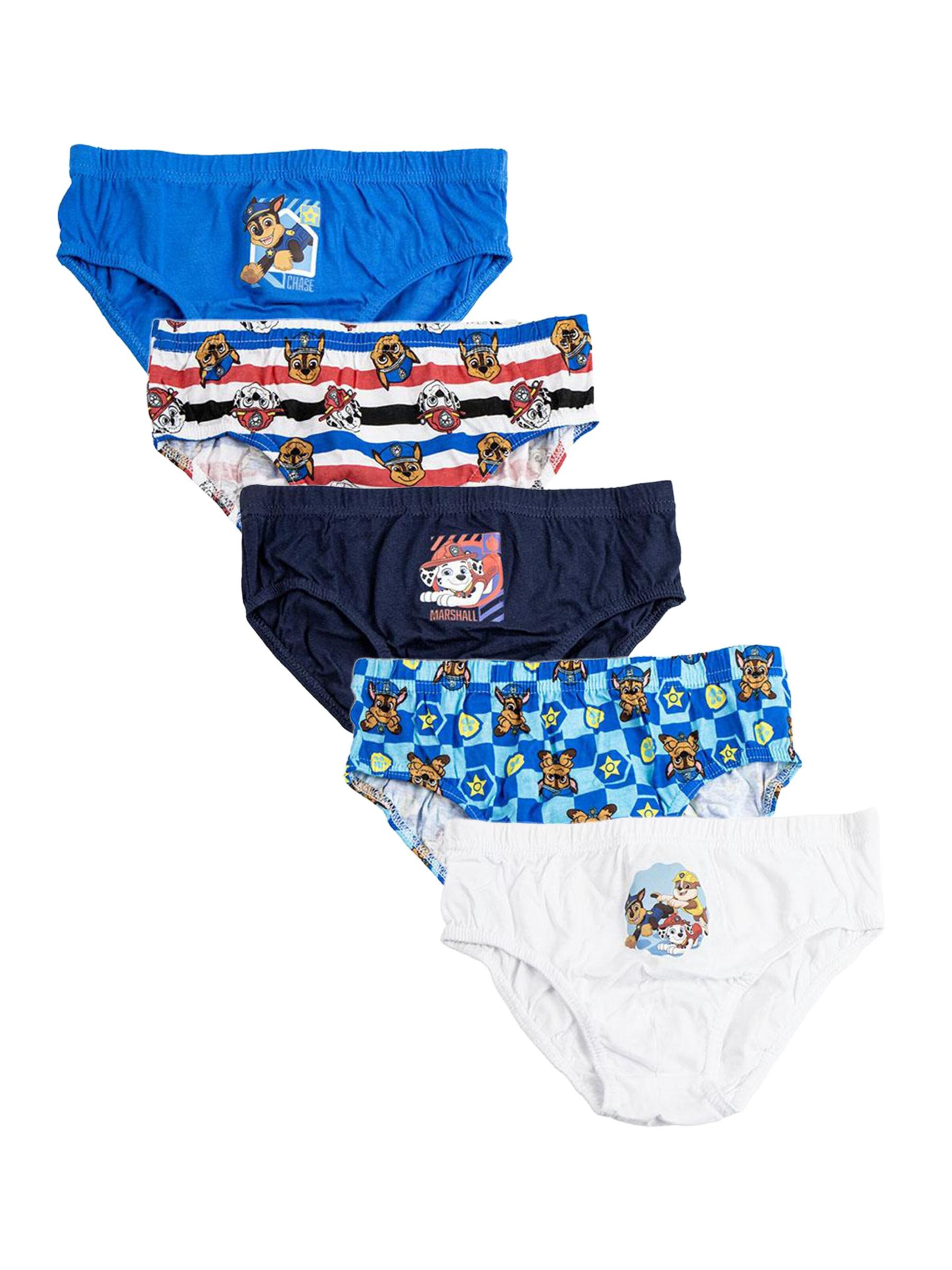 DISNEY Underwear Set 'Unterwäsche-Set für Mädchen, 5 Teile, Paw Patrol' in Mixed colors: front