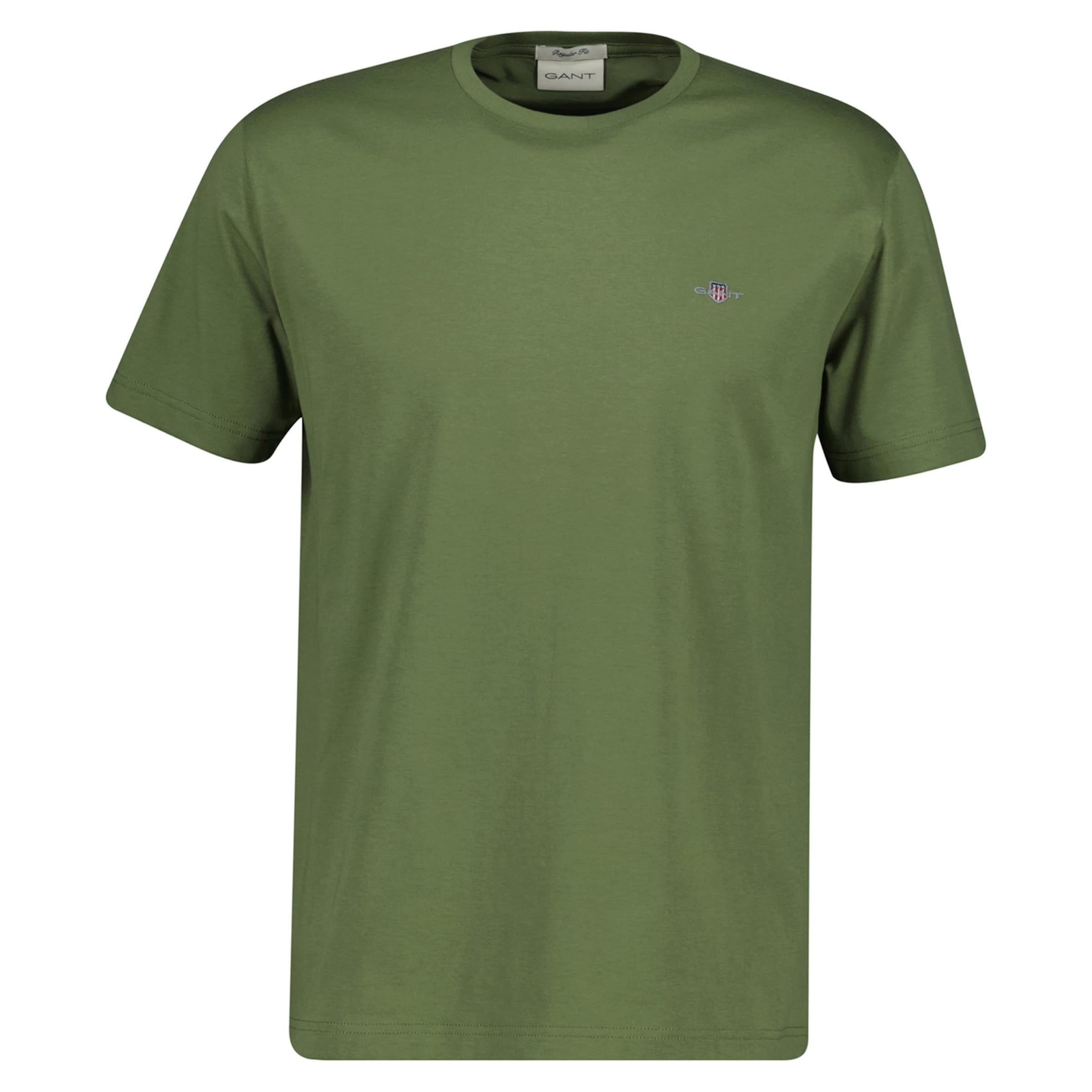 GANT Shirt in Green: front