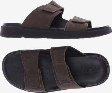 GEOX Sandals & Slippers in 42 in Brown: front