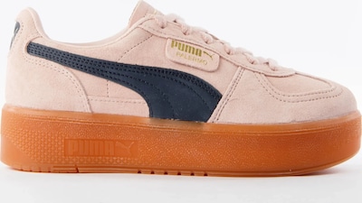 PUMA Bottines à lacets 'Palermo' en 36 en rose, Vue avec produit