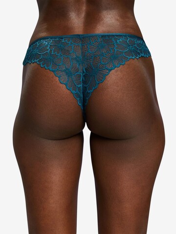 ESPRIT Panty in Blue