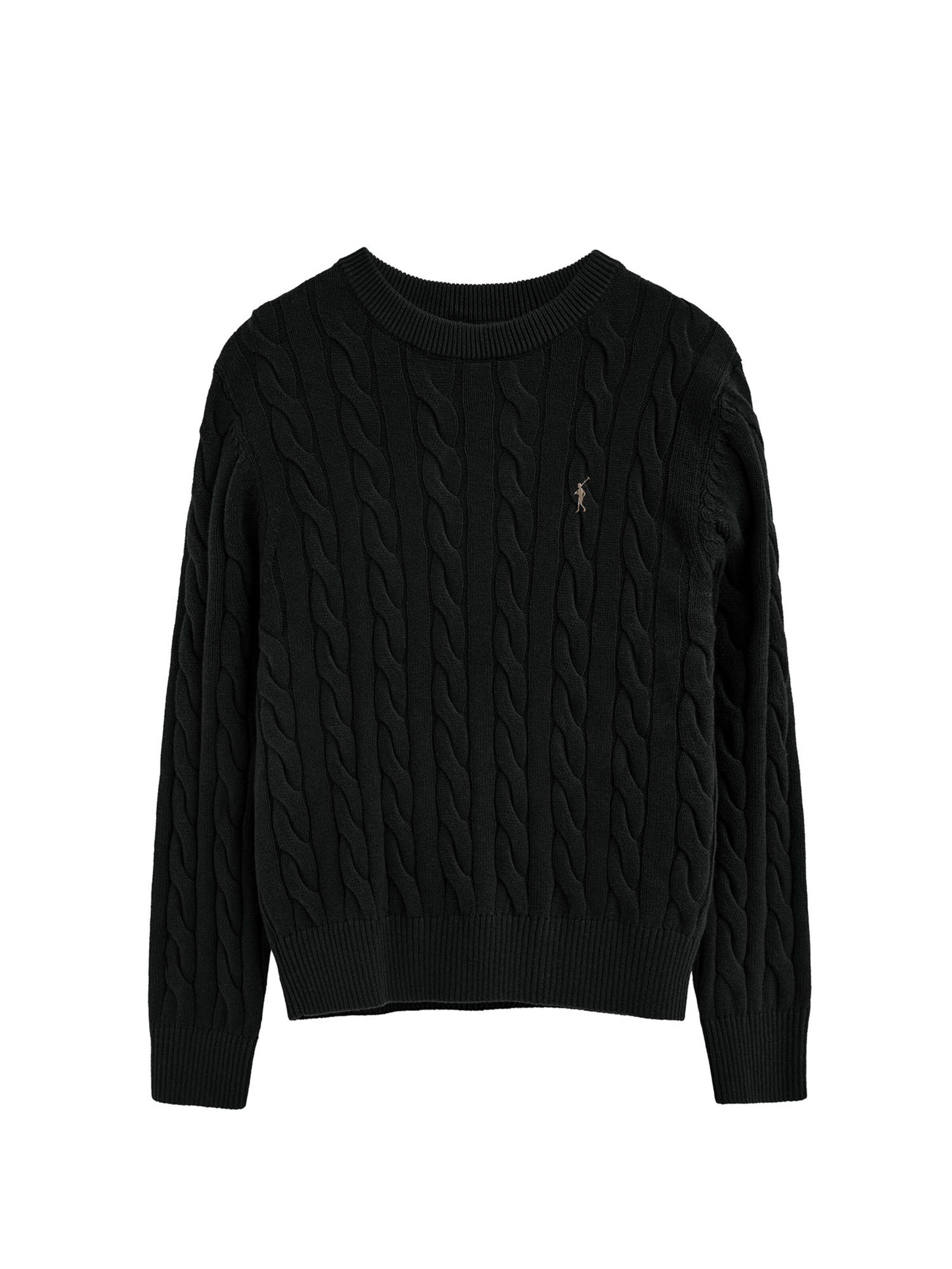 Polo Club Pullover ' RIGBY' in Schwarz: Vorderseite