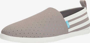 NATIVE Trampki slip on 'Venice' w kolorze szary: przód