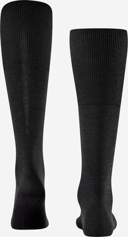 Chaussettes montantes 'Airport' FALKE en gris