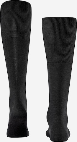 Chaussettes FALKE en gris