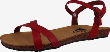 Sandales à lanières 'Mam Data Napa' Plakton en rouge : devant