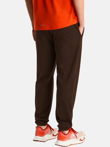 THE NORTH FACE Regular Outdoorbyxa 'THE NORTH FACE M EVO SD REG JOGGER PANTALONE TUTA' i brun