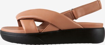 Högl Sandals 'ALMA' in Brown: front