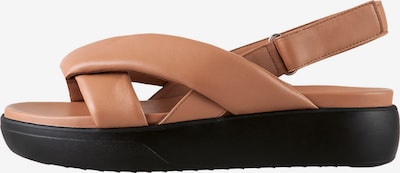 Sandalo 'ALMA' Högl di colore marrone, Visualizzazione prodotti
