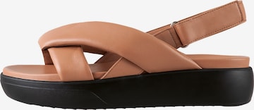 Högl Sandals 'ALMA' in Brown: front