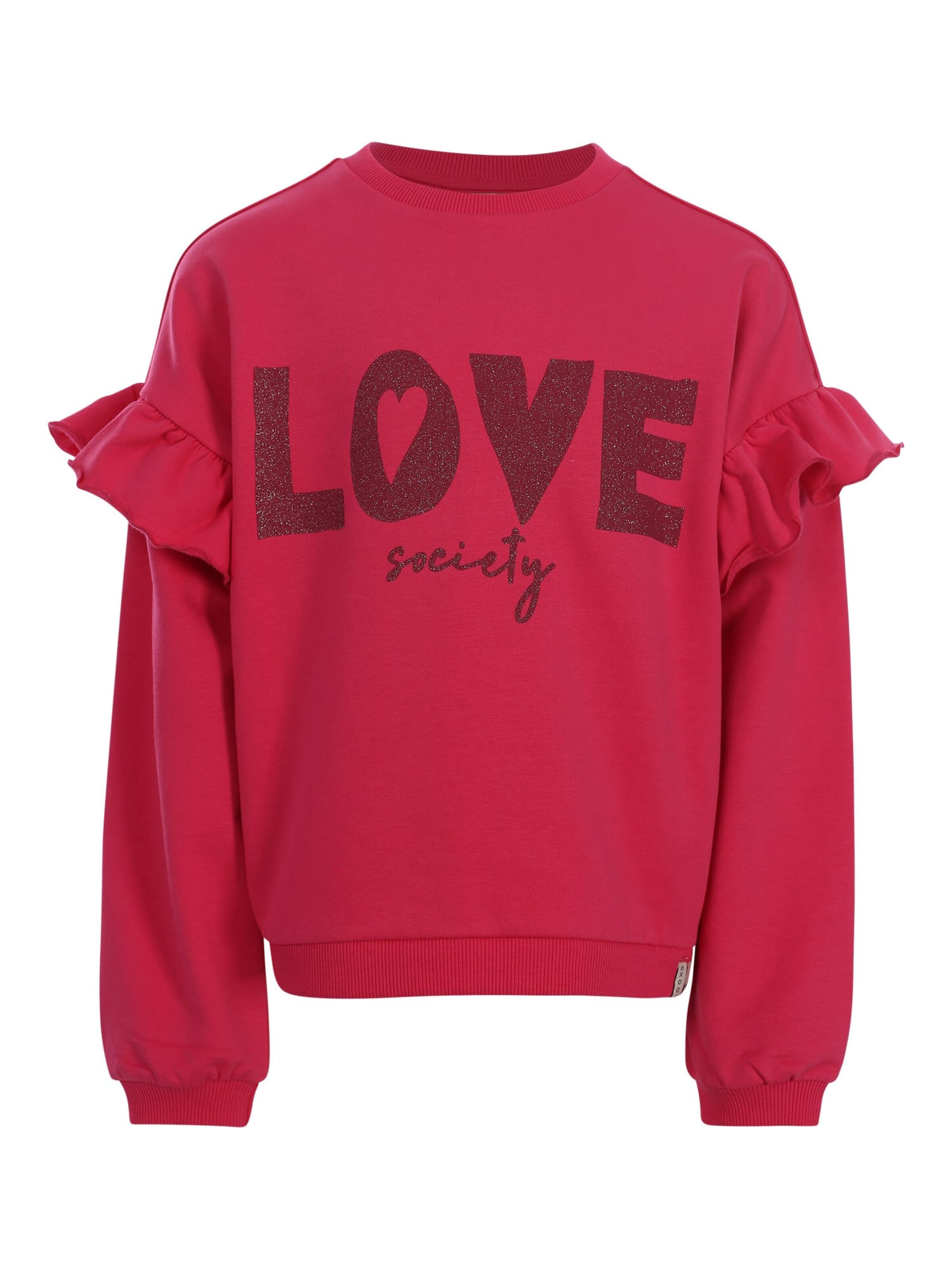 Looxs Revolution Sweatshirt in Pink: front