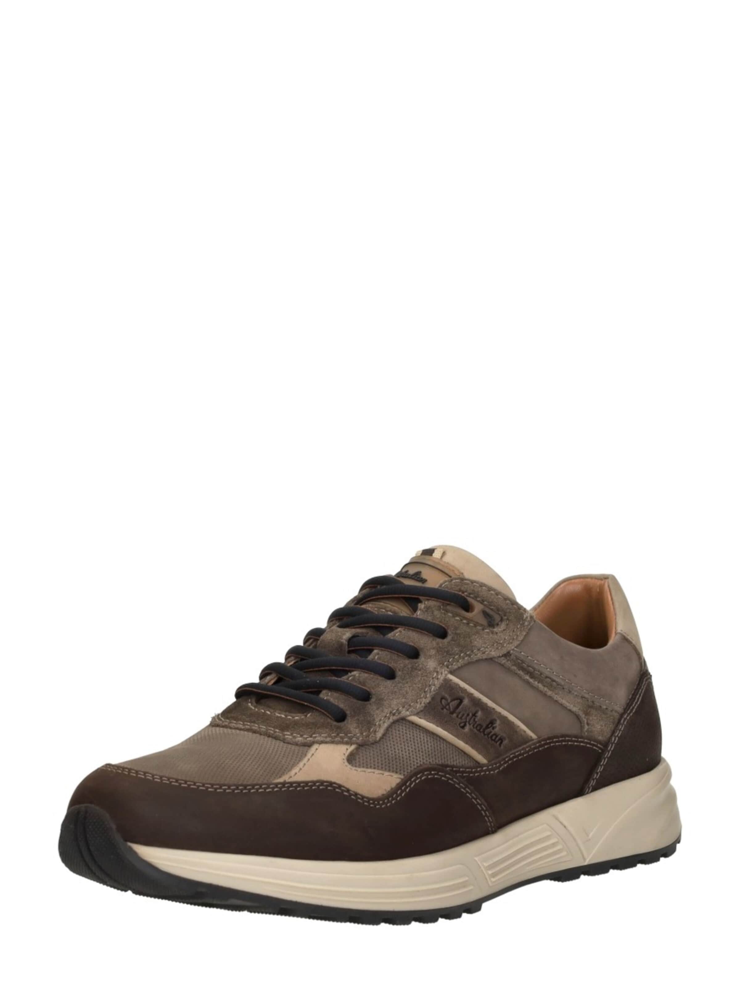 Australian Platform trainers 'Grants' in Brown: front