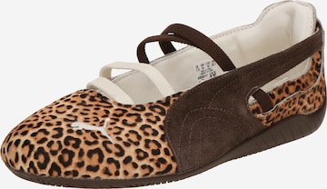 PUMA Nauhaballerina 'Speedcat Wild' värissä ruskea: etupuoli