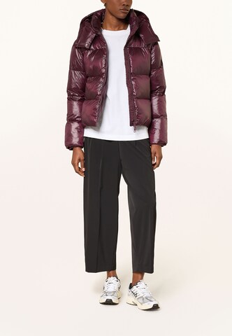 darling harbour Pufferjacke in Rot: Vorderseite