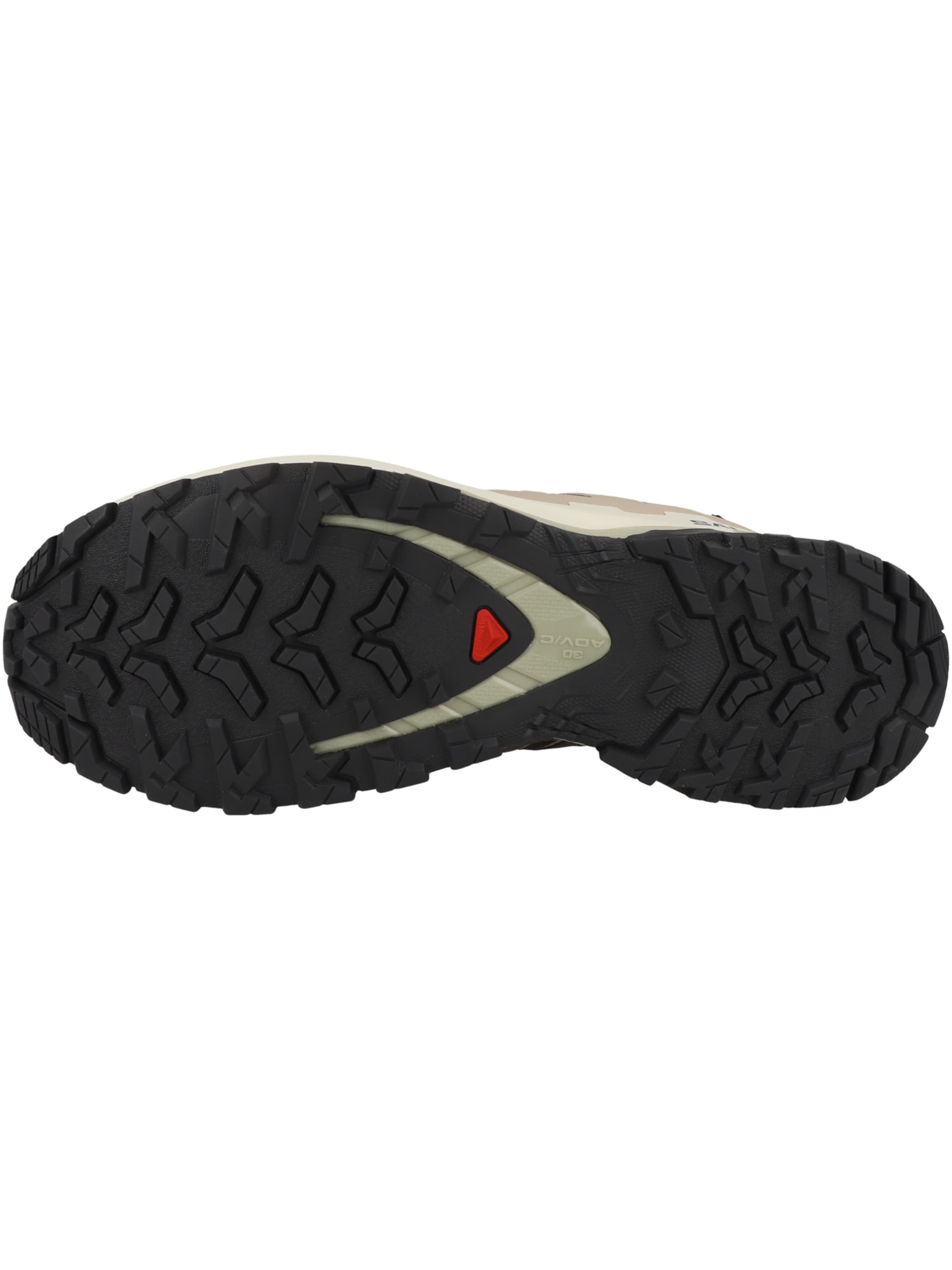 Chaussure de course 'XA Pro 3D V9' SALOMON en gris
