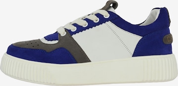 Crickit Sneakers 'Maura' in Blue